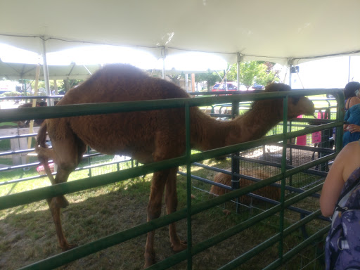 Community Center «Recreation Park», reviews and photos, 500 E Miner St, Arlington Heights, IL 60004, USA