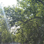 Photo n° 3 de l'avis de Guro. fait le 20/07/2019 à 14:05 pour Auberge de Jeunesse HI Annecy à Annecy