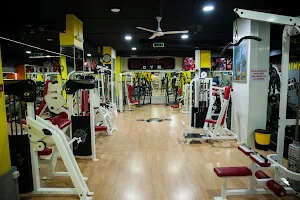 Olympus Fitness Gym image