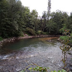 Photo n° 2 de l'avis de NefertarideLyon. fait le 01/08/2019 à 05:36 pour Réserve naturelle nationale du marais de Lavours à Ceyzérieu