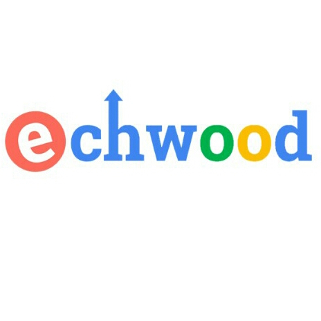Echwood Limited Nigeria, 26 Igbasan St, Opebi, Ikeja, Nigeria, Software Company, state Lagos