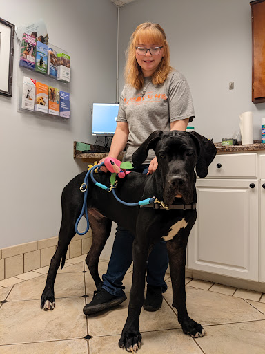 Smith Animal Hospital - Perry image