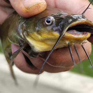 Twin Lakes Park - review photo