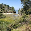 Tomales Bay State Park