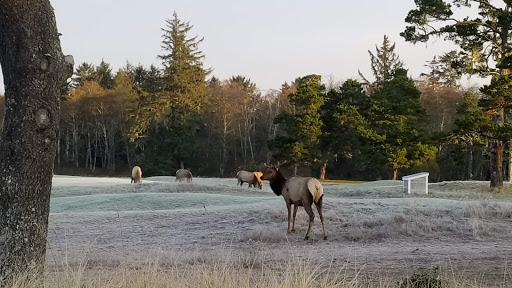 Golf Club «Gearhart Golf Links», reviews and photos, 1157 N Marion Ave, Gearhart, OR 97138, USA