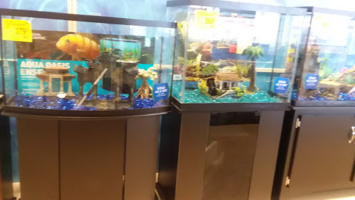 Pet Supply Store «PetSmart», reviews and photos, 2101 Elmwood Ave, Buffalo, NY 14207, USA