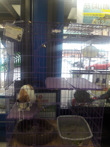 Tropical Fish Store «Petland Discounts - Hylan», reviews and photos, 2712 Hylan Blvd, Staten Island, NY 10306, USA