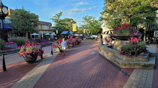 Restaurant «Browndog Treats, Drinks, & Eats», reviews and photos, 120 E Main St, Northville, MI 48167, USA