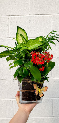 Florist «Expressions Floral Design Studio», reviews and photos, 1247 N Hamilton Rd, Gahanna, OH 43230, USA