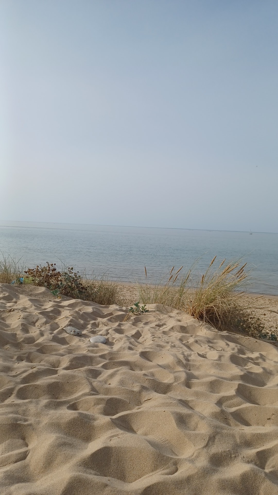 Photo n° 1 de l'avis de Frederic.l fait le 04/09/2023 à 16:26