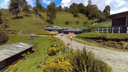 Institututo Tecnico Agropecuario Y Forestal (ITAF EL TAMBO)