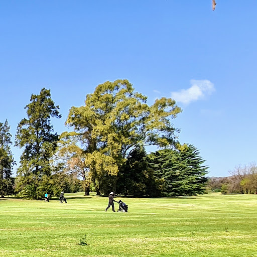 Campo Municipal de golf 