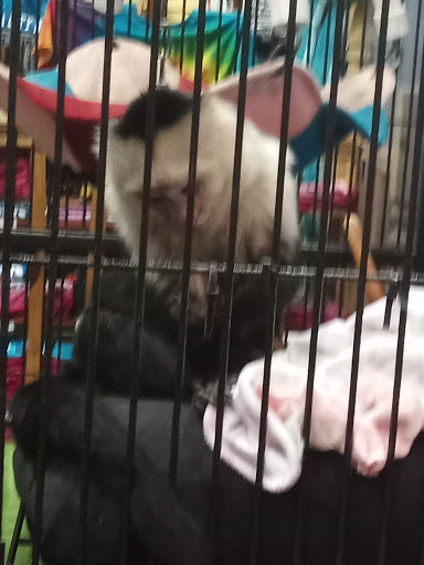 Tattoo and Piercing Shop «Mango Beach Tattoos & Body Piercing», reviews and photos, 11840 Front Beach Rd, Panama City Beach, FL 32407, USA