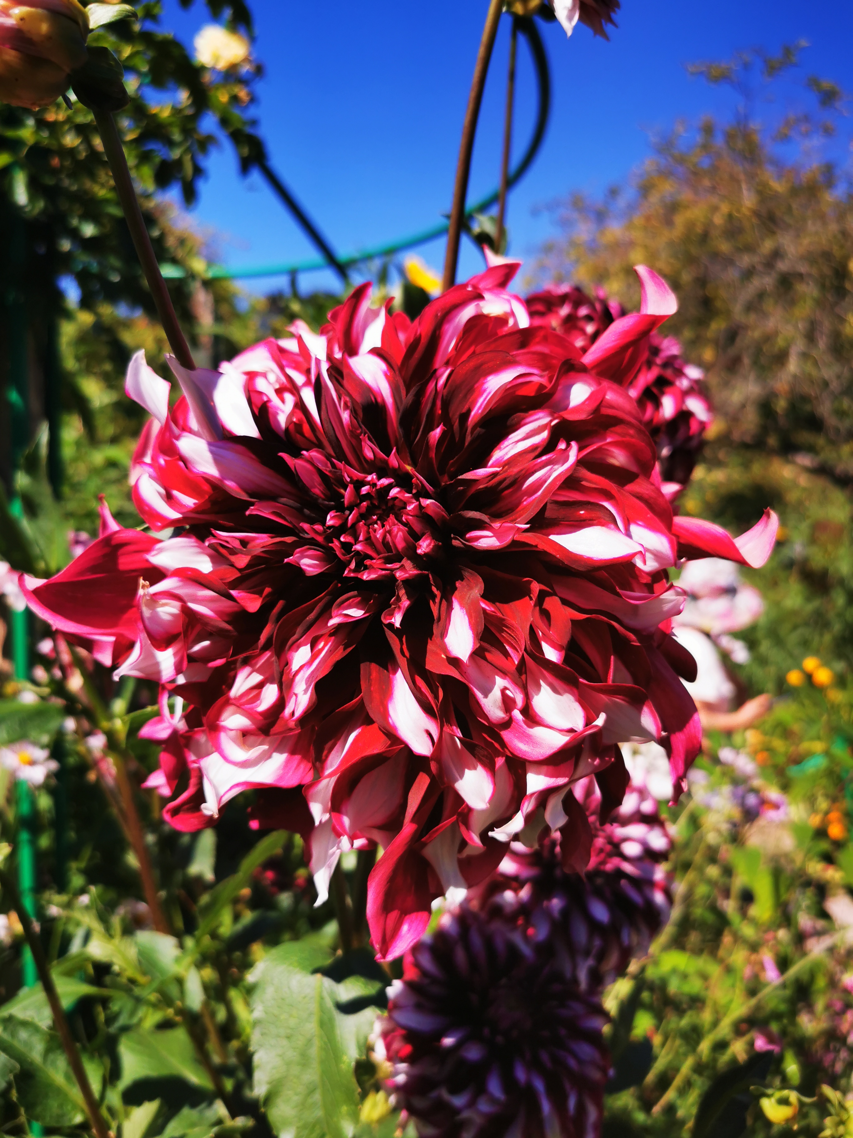 Photo n° 13 de l'avis de ASMA.A fait le 16/08/2022 à 18:29