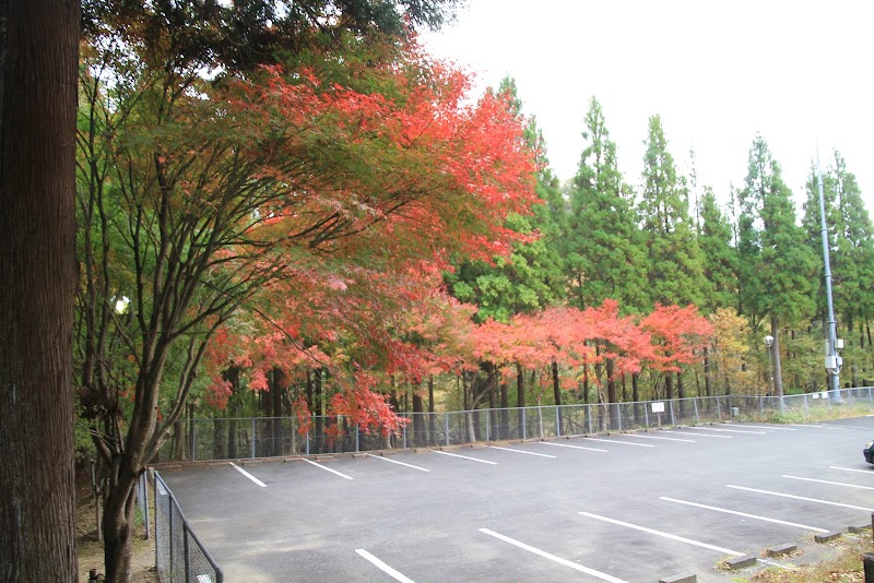 清和県民の森キャンプ場駐車場