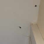 Photo n°10 de l'avis de Jörg.� fait le 17/01/2023 à 17:54 sur le  Novum Hotel Mariella Airport à Cologne