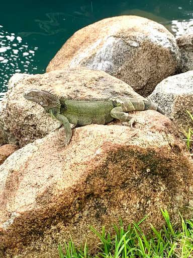 Travel Agency «World Class Travel», reviews and photos, 561 Cedar Rd #4, Chesapeake, VA 23322, USA