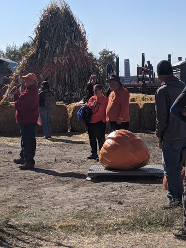 Haunted House «Hee Haw Farms & Corn Maze», reviews and photos, 150 S 2000 W, Lindon, UT 84042, USA