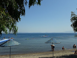 Photo de Flamingo beach avec un niveau de propreté de très propre