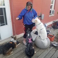 Kindred Canine, LLC - Photo 2 - Car repair in , Lakewood