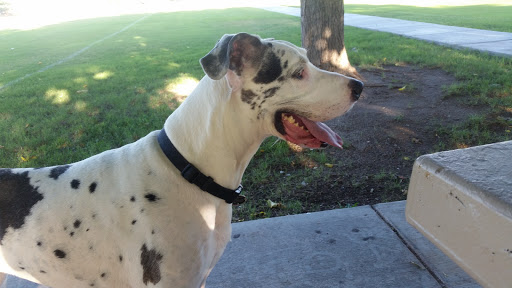 Park «Heers Park», reviews and photos, 6320 Plaza Verde Pl, Las Vegas, NV 89108, USA