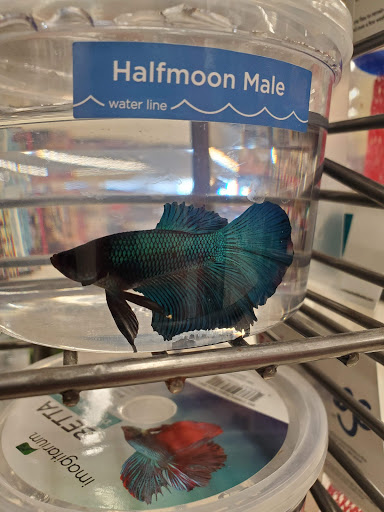 Pet Supply Store «Petco Animal Supplies», reviews and photos, 364 Randall Rd, South Elgin, IL 60177, USA