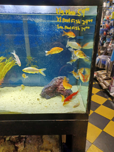Pet Store «Brooklyn Zoo & Aquarium Pet Store», reviews and photos, 2377 Ralph Ave, Brooklyn, NY 11234, USA