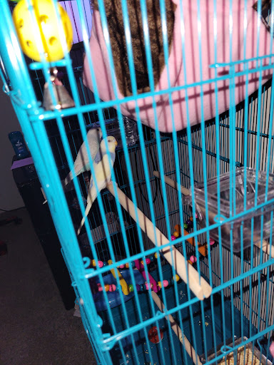 Pet Supply Store «PetSmart», reviews and photos, 1331 Nixon Dr, Moorestown, NJ 08057, USA