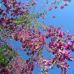 Photo n°1 de l'avis de Hajo.a fait le 04/09/2020 à 12:56 sur le  Ristorante D'OURO à Überlingen