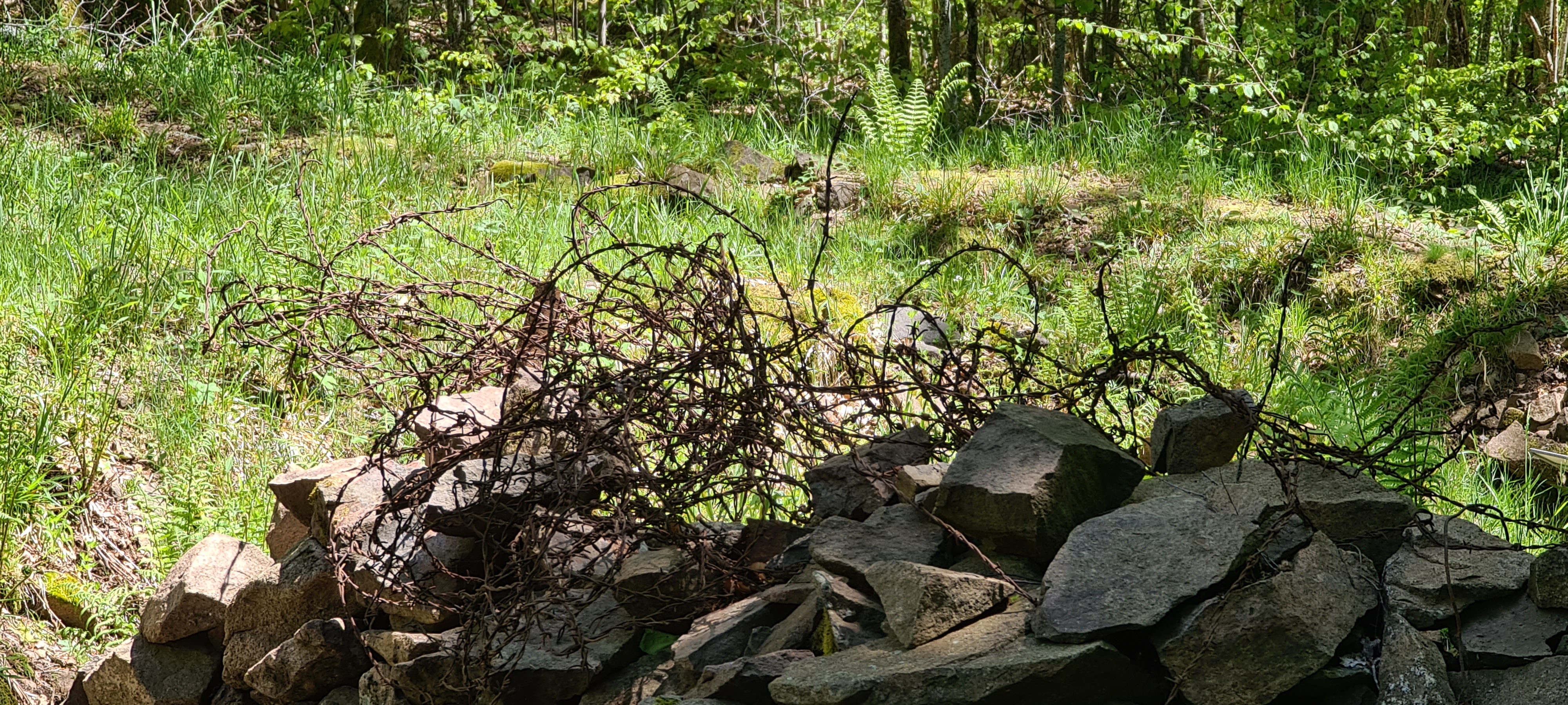 Photo n° 2 de l'avis de Jean.r fait le 29/05/2021 à 15:01