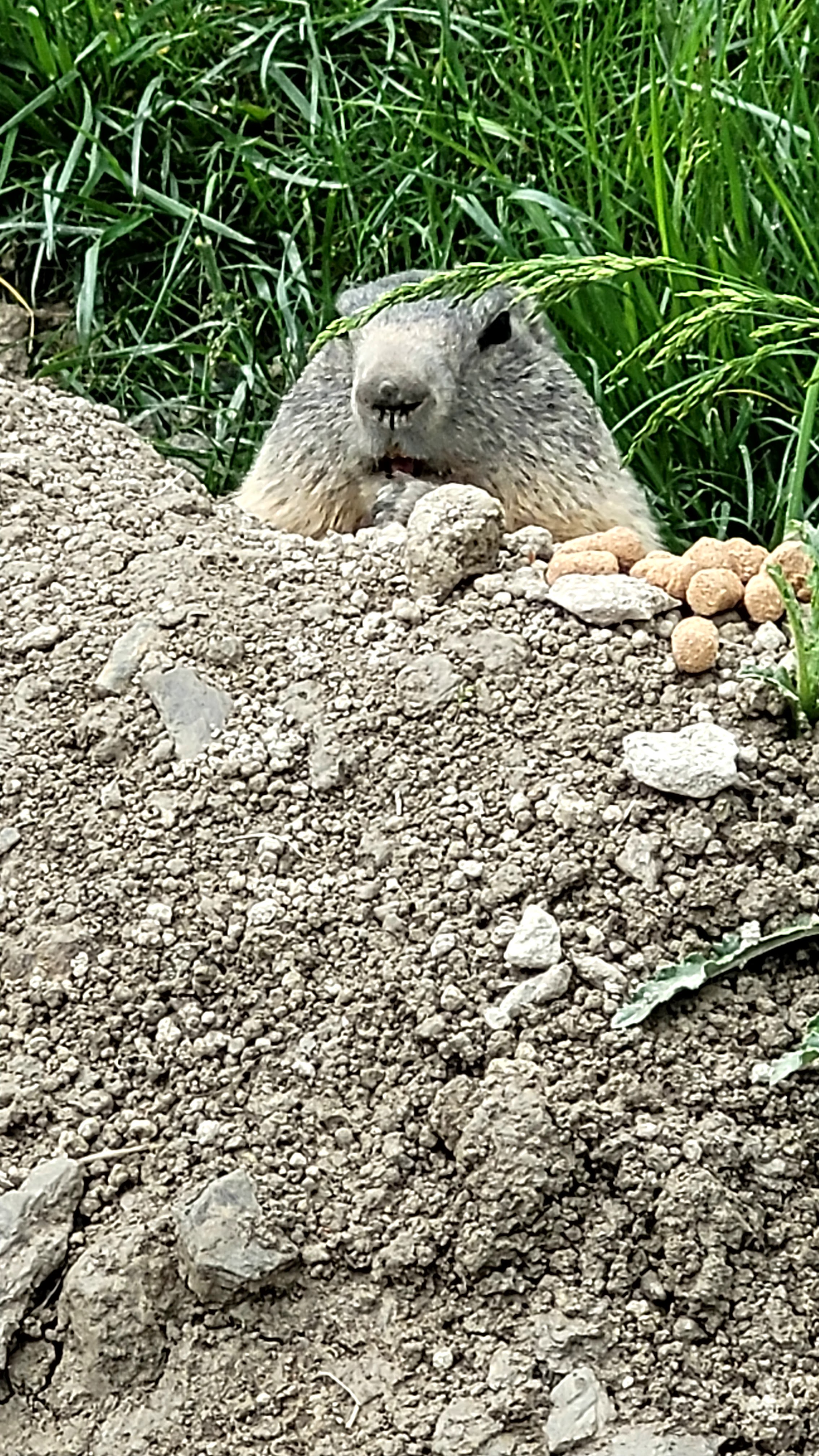 Photo n° 43 de l'avis de PASSIONS.O fait le 24/05/2023 à 09:56