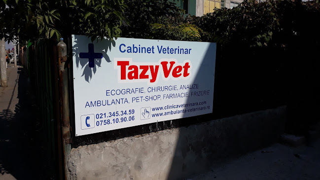 Opinii despre Clinica Veterinara Tazy Vet în <nil> - Veterinar