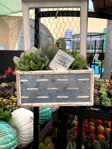Lowes Home Improvement image