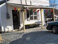 Milrick Lawn Service & Landscaping - Photo 5 - Car repair in , Norwich