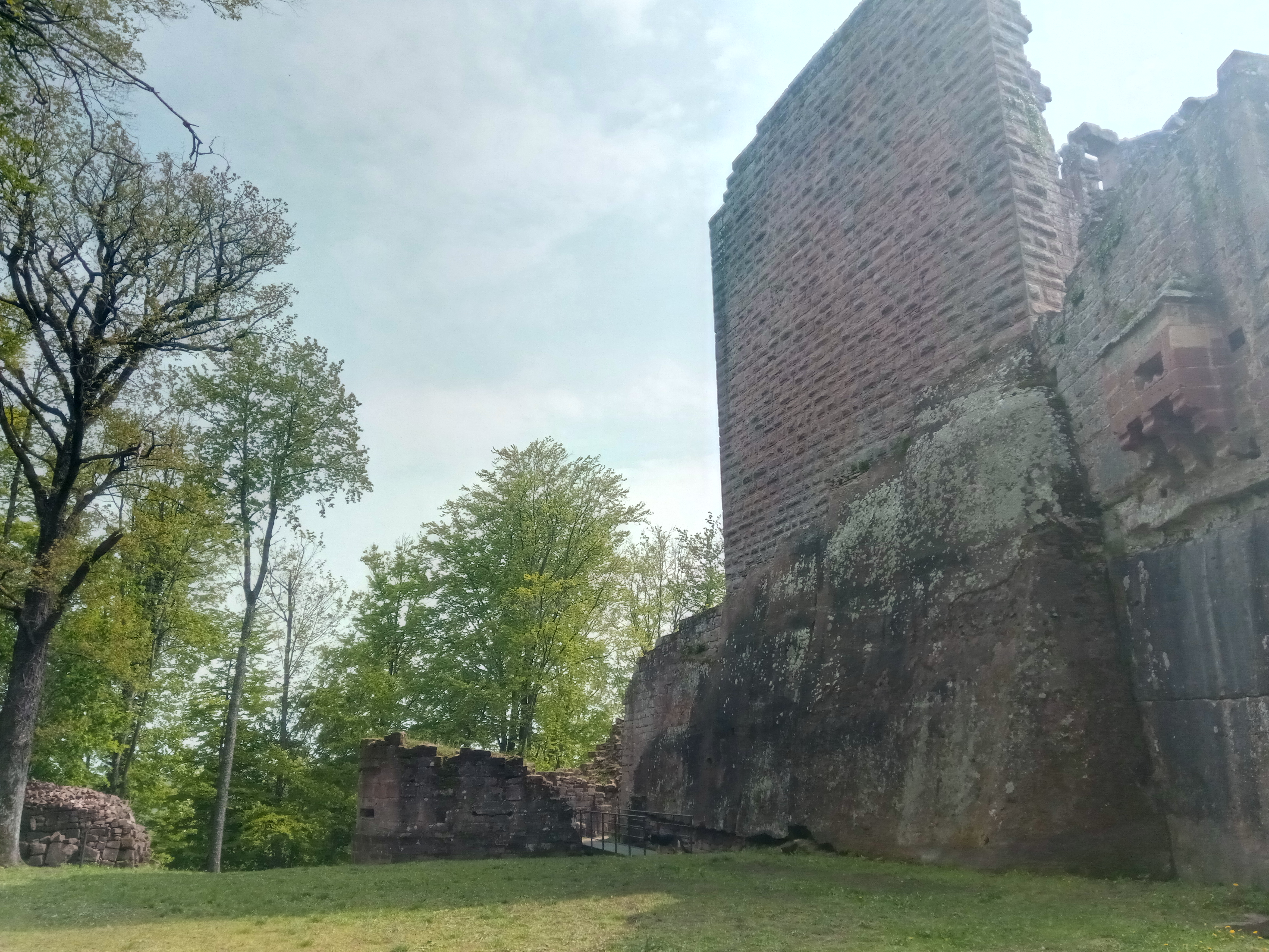 Photo n° 7 de l'avis de Ives.e fait le 03/05/2019 à 12:37