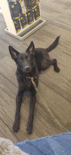 Pet Supply Store «The Animal Park Marketplace», reviews and photos, 744 W Riverdale Rd, Riverdale, UT 84405, USA