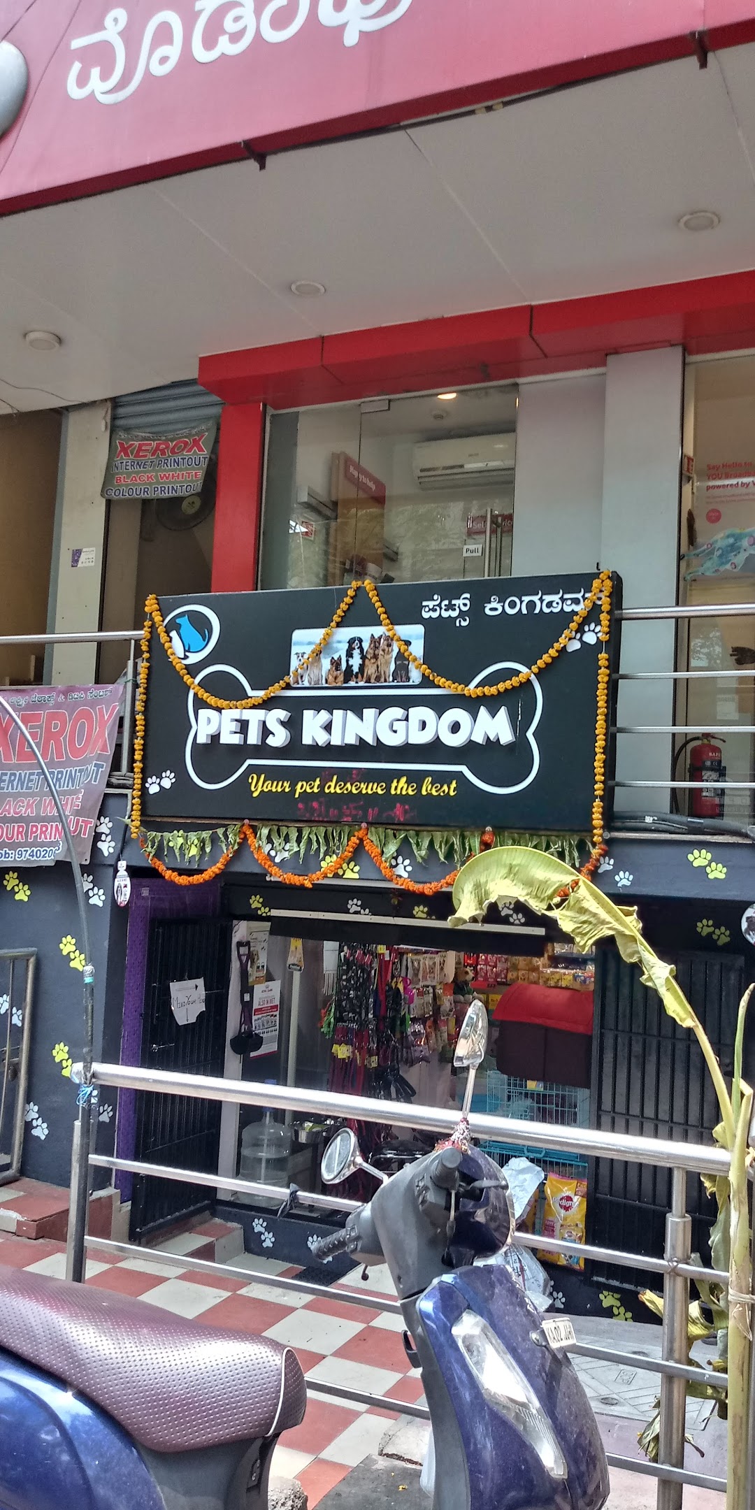 Pets Kingdom Malleshwaram