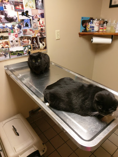 Goffstown Animal Hospital image