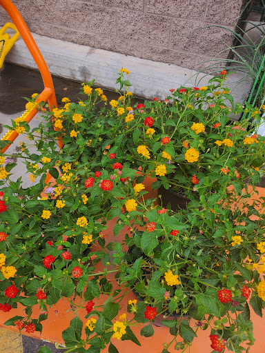 Home Improvement Store «The Home Depot», reviews and photos, 745 S Val Vista Dr, Gilbert, AZ 85296, USA