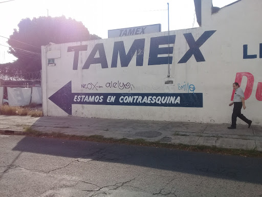 Distribuidora Tamex, S. A. de C .V.