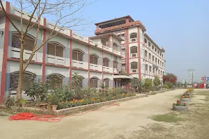 Haziganj Degree College image