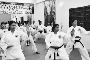 Karate Bushikan Dojo image