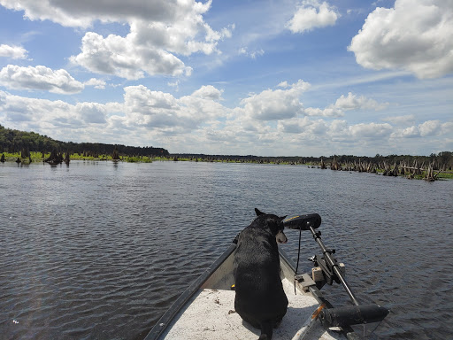 National Forest «Ocala National Forest», reviews and photos, FL-40, Silver Springs, FL 34488, USA