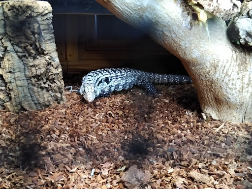 Tourist Attraction «IMAG History & Science Center (formerly Imaginarium Science Center)», reviews and photos, 2000 Cranford Ave, Fort Myers, FL 33916, USA