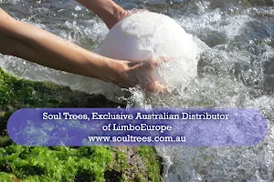 Soul Trees Bio Urns Australia image