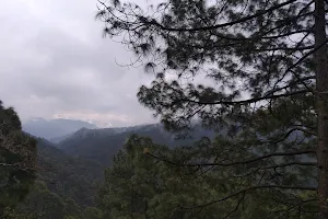 Aarukhan Gau Hiking Spot,nainital image
