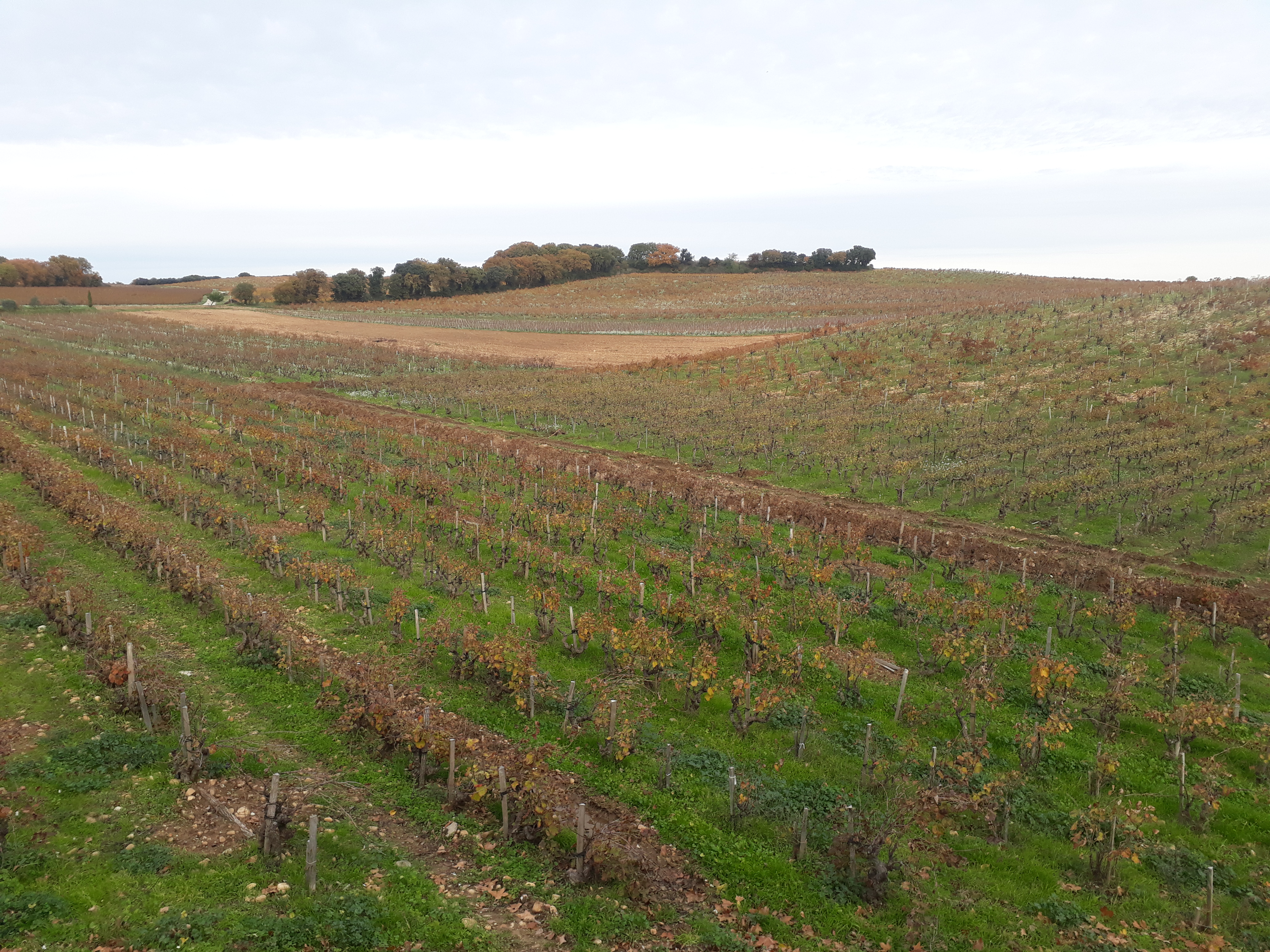 Photo n° 1 de l'avis de Bertrand.e fait le 30/11/2019 à 18:10