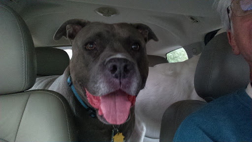 Pet Supply Store «PetSmart», reviews and photos, 88 Shops at 5 Way, Plymouth, MA 02360, USA