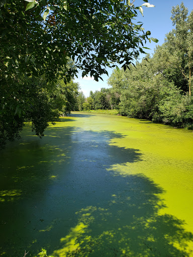 Nature Preserve «Southwood Nature Preserve», reviews and photos, 2651 Holloway Ave E, North St Paul, MN 55109, USA