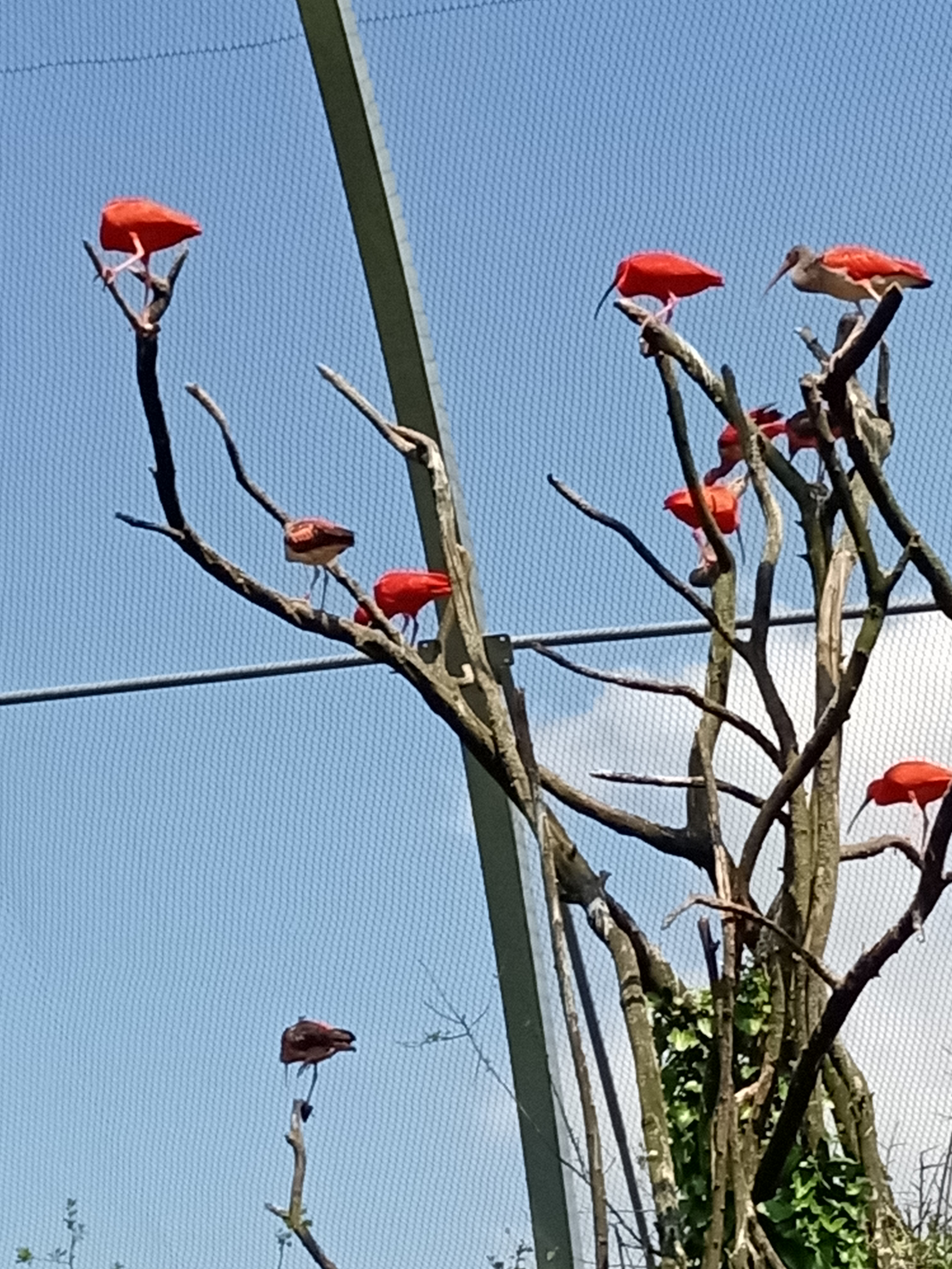Photo n° 6 de l'avis de Thierry. fait le 20/05/2023 à 17:21